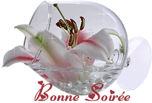 Gif animé bonne soirée fleur